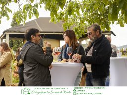 Festival Mar de Tethys 2026 - Bodega Vetas